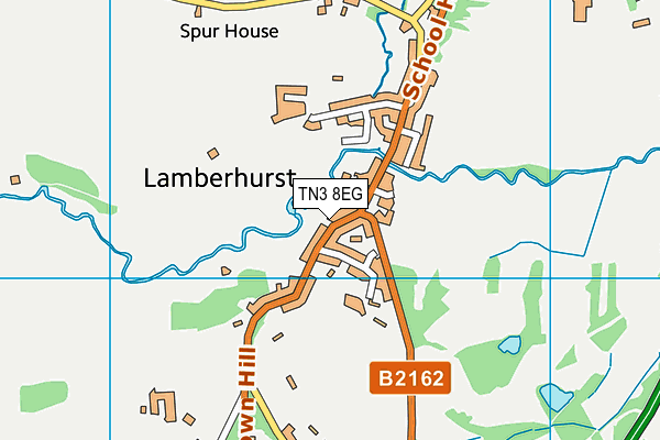 TN3 8EG map - OS VectorMap District (Ordnance Survey)