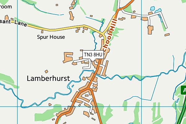 TN3 8HU map - OS VectorMap District (Ordnance Survey)