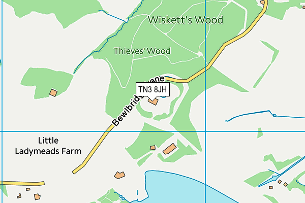 TN3 8JH map - OS VectorMap District (Ordnance Survey)