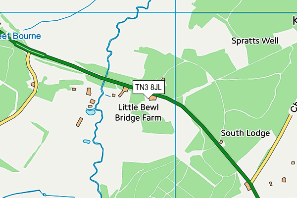 TN3 8JL map - OS VectorMap District (Ordnance Survey)