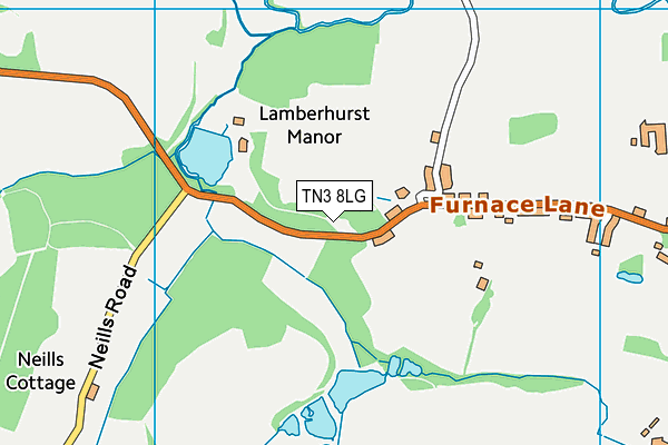 TN3 8LG map - OS VectorMap District (Ordnance Survey)