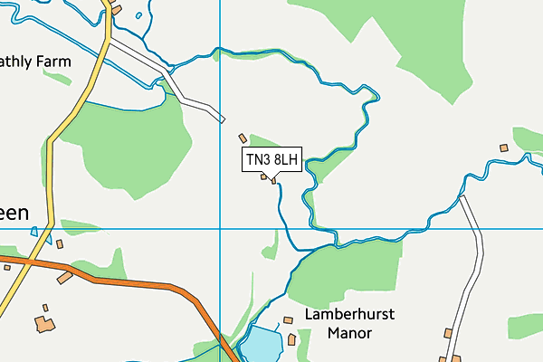 TN3 8LH map - OS VectorMap District (Ordnance Survey)