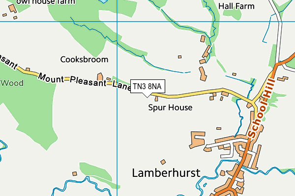 TN3 8NA map - OS VectorMap District (Ordnance Survey)