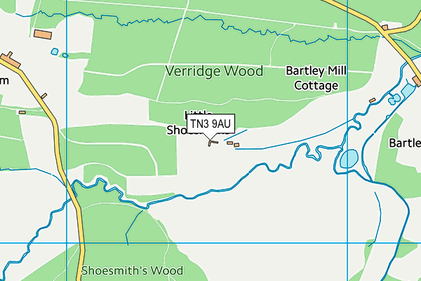 TN3 9AU map - OS VectorMap District (Ordnance Survey)