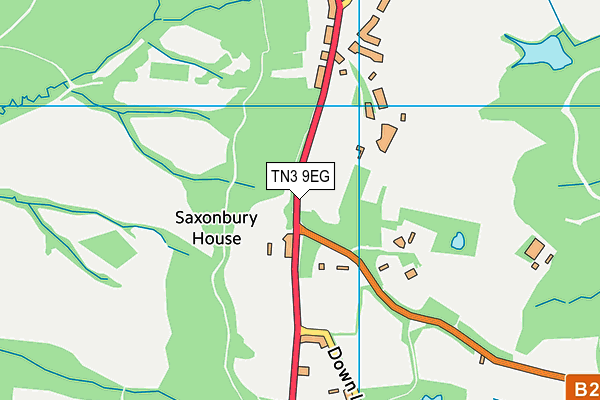 TN3 9EG map - OS VectorMap District (Ordnance Survey)