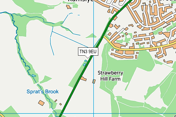 TN3 9EU map - OS VectorMap District (Ordnance Survey)