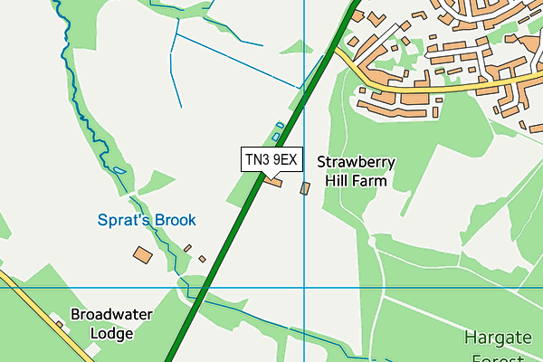 TN3 9EX map - OS VectorMap District (Ordnance Survey)