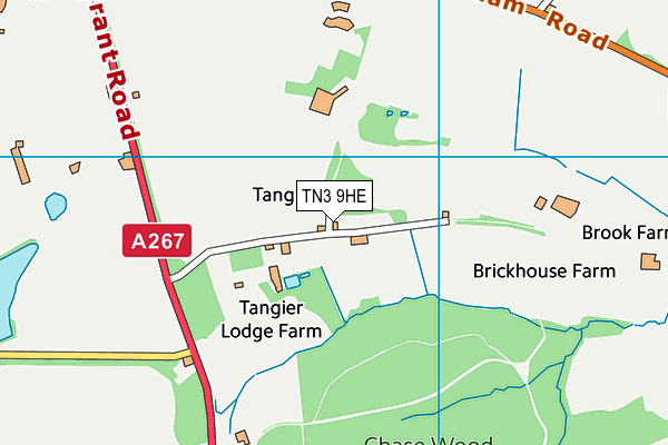 TN3 9HE map - OS VectorMap District (Ordnance Survey)