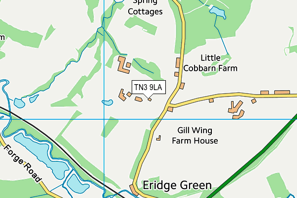 TN3 9LA map - OS VectorMap District (Ordnance Survey)