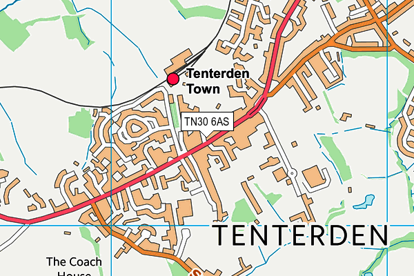 TN30 6AS map - OS VectorMap District (Ordnance Survey)