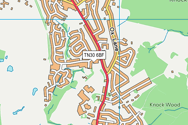 TN30 6BF map - OS VectorMap District (Ordnance Survey)