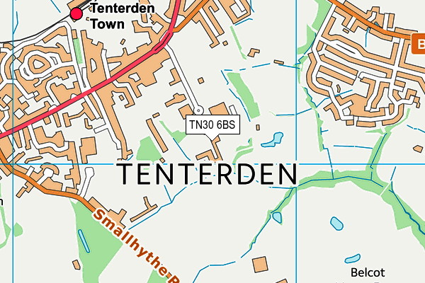 TN30 6BS map - OS VectorMap District (Ordnance Survey)