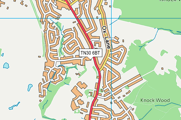 TN30 6BT map - OS VectorMap District (Ordnance Survey)
