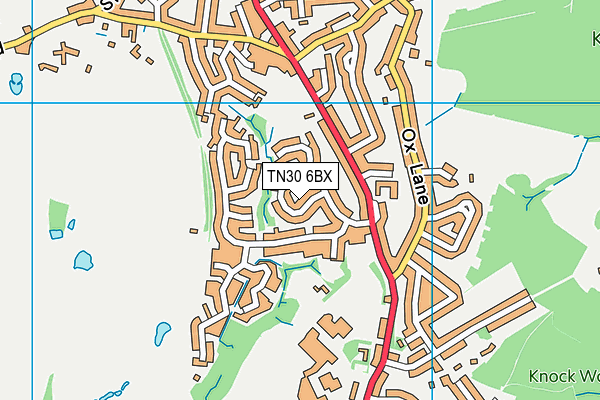 TN30 6BX map - OS VectorMap District (Ordnance Survey)