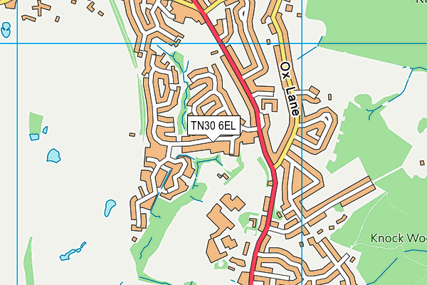 TN30 6EL map - OS VectorMap District (Ordnance Survey)