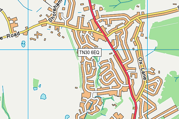 TN30 6EQ map - OS VectorMap District (Ordnance Survey)