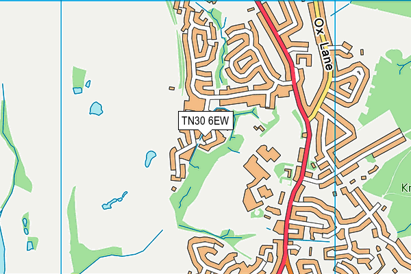 TN30 6EW map - OS VectorMap District (Ordnance Survey)
