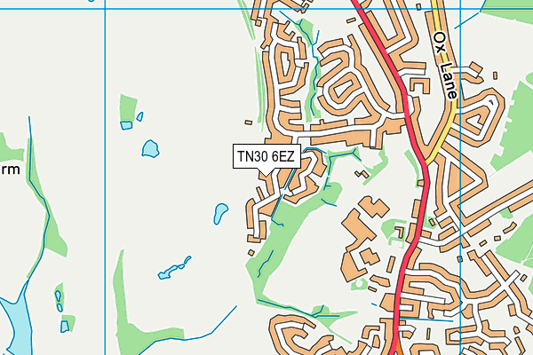 TN30 6EZ map - OS VectorMap District (Ordnance Survey)