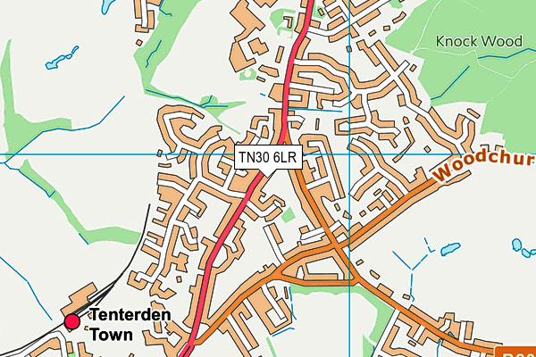 TN30 6LR map - OS VectorMap District (Ordnance Survey)