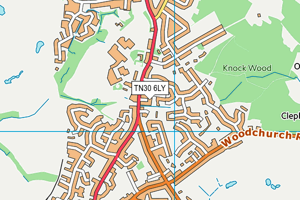 TN30 6LY map - OS VectorMap District (Ordnance Survey)