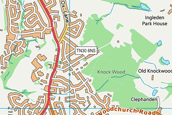 TN30 6NS map - OS VectorMap District (Ordnance Survey)