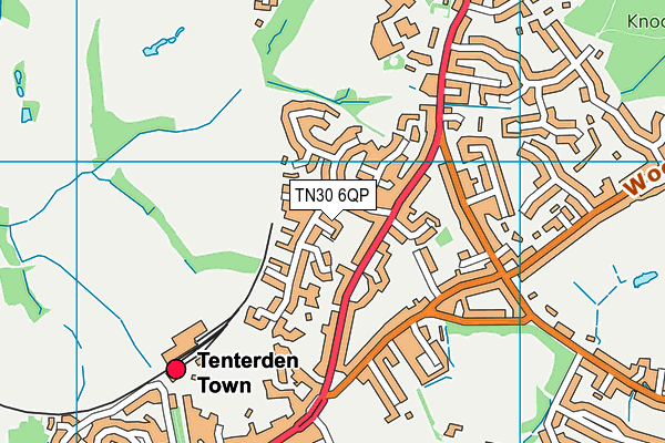 TN30 6QP map - OS VectorMap District (Ordnance Survey)