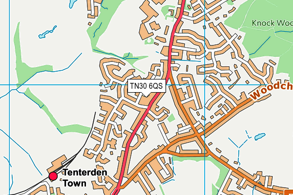 TN30 6QS map - OS VectorMap District (Ordnance Survey)