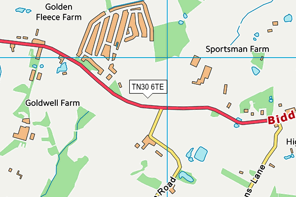 TN30 6TE map - OS VectorMap District (Ordnance Survey)