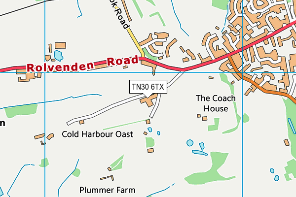 TN30 6TX map - OS VectorMap District (Ordnance Survey)