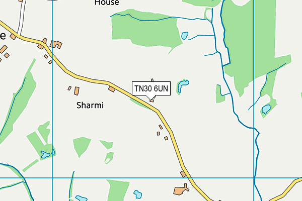 TN30 6UN map - OS VectorMap District (Ordnance Survey)