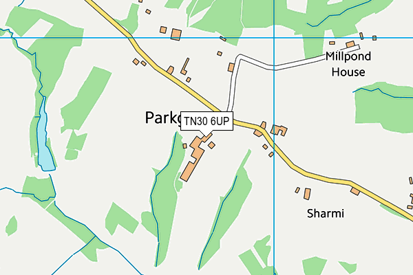 TN30 6UP map - OS VectorMap District (Ordnance Survey)