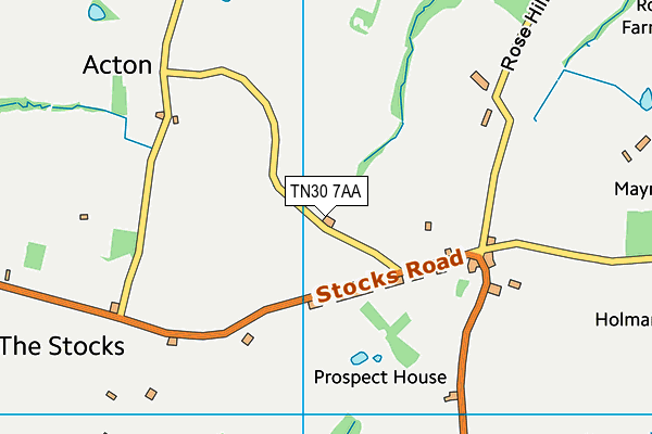 TN30 7AA map - OS VectorMap District (Ordnance Survey)