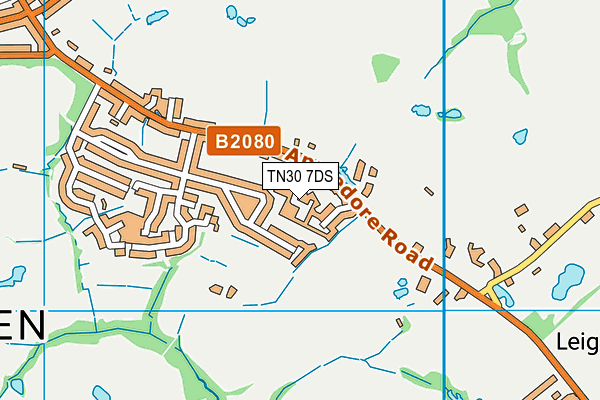 TN30 7DS map - OS VectorMap District (Ordnance Survey)