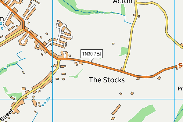 TN30 7EJ map - OS VectorMap District (Ordnance Survey)