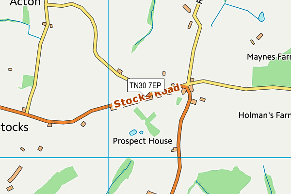 TN30 7EP map - OS VectorMap District (Ordnance Survey)
