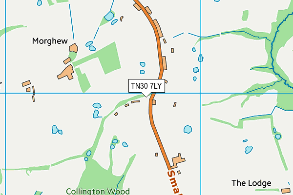 TN30 7LY map - OS VectorMap District (Ordnance Survey)