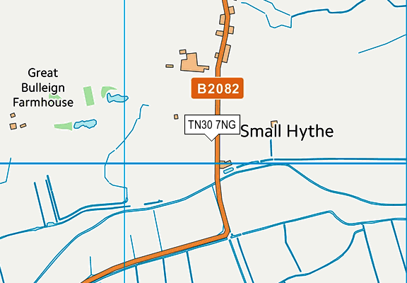 TN30 7NG map - OS VectorMap District (Ordnance Survey)
