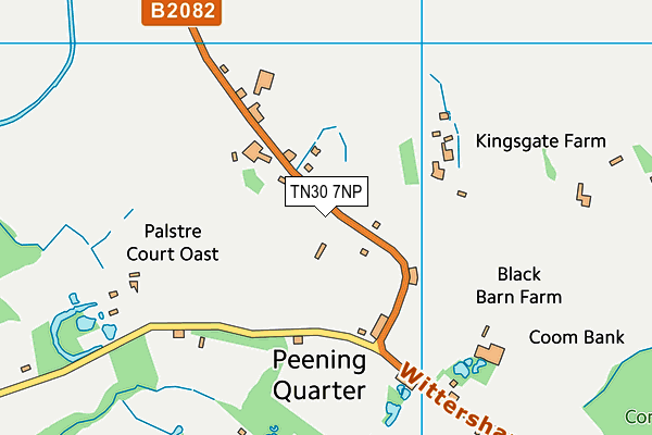 TN30 7NP map - OS VectorMap District (Ordnance Survey)