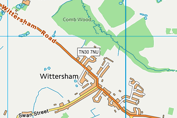 TN30 7NU map - OS VectorMap District (Ordnance Survey)