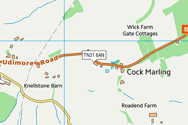 TN31 6AN map - OS VectorMap District (Ordnance Survey)