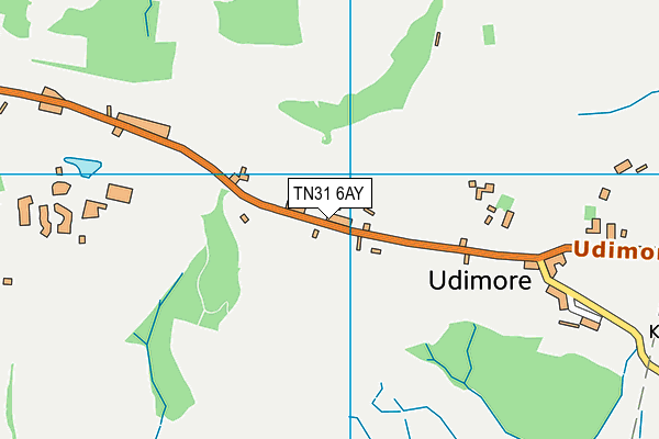 TN31 6AY map - OS VectorMap District (Ordnance Survey)