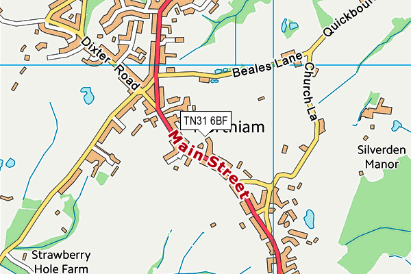 TN31 6BF map - OS VectorMap District (Ordnance Survey)