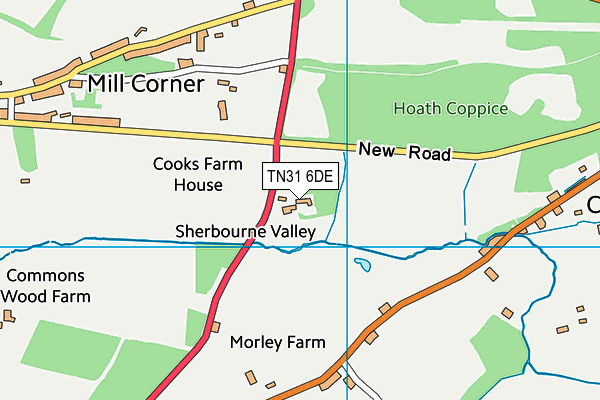 TN31 6DE map - OS VectorMap District (Ordnance Survey)