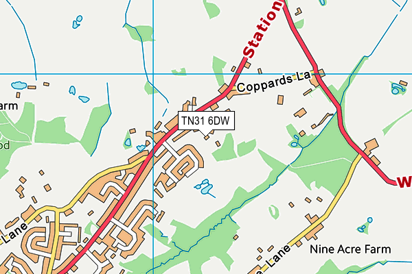TN31 6DW map - OS VectorMap District (Ordnance Survey)