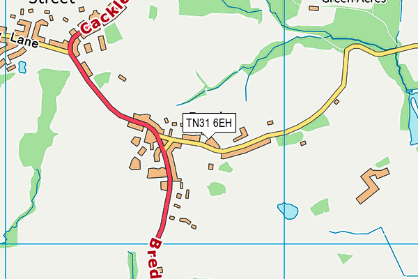 TN31 6EH map - OS VectorMap District (Ordnance Survey)