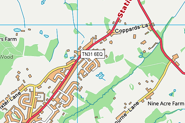 TN31 6EQ map - OS VectorMap District (Ordnance Survey)