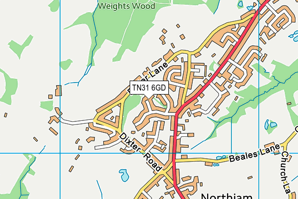 TN31 6GD map - OS VectorMap District (Ordnance Survey)