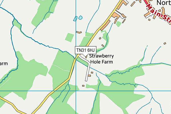 TN31 6HJ map - OS VectorMap District (Ordnance Survey)