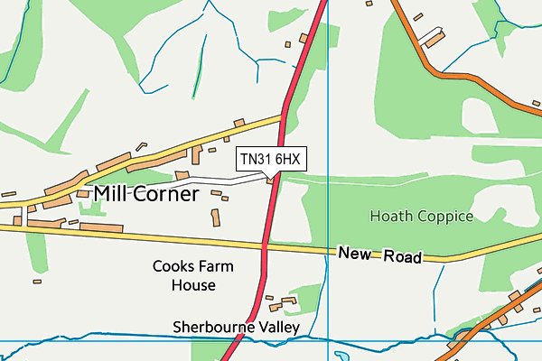 TN31 6HX map - OS VectorMap District (Ordnance Survey)
