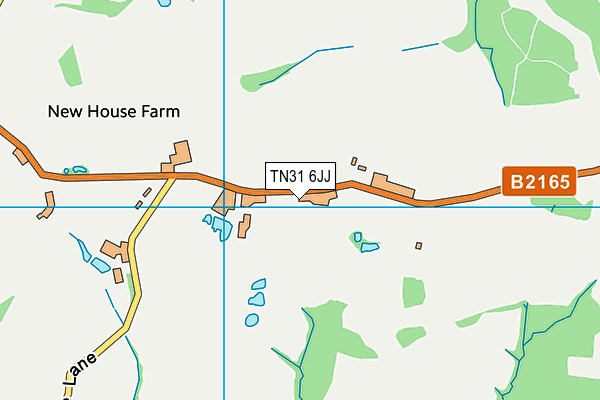 TN31 6JJ map - OS VectorMap District (Ordnance Survey)
